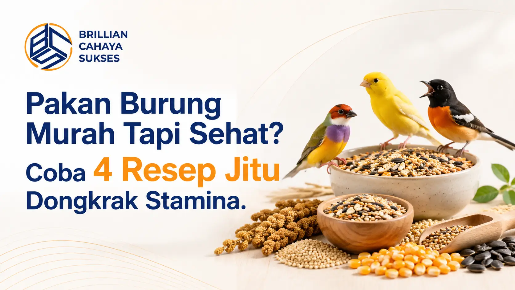 Pakan Burung Murah Tapi Sehat? Coba 4 Resep Jitu Dongkrak Stamina