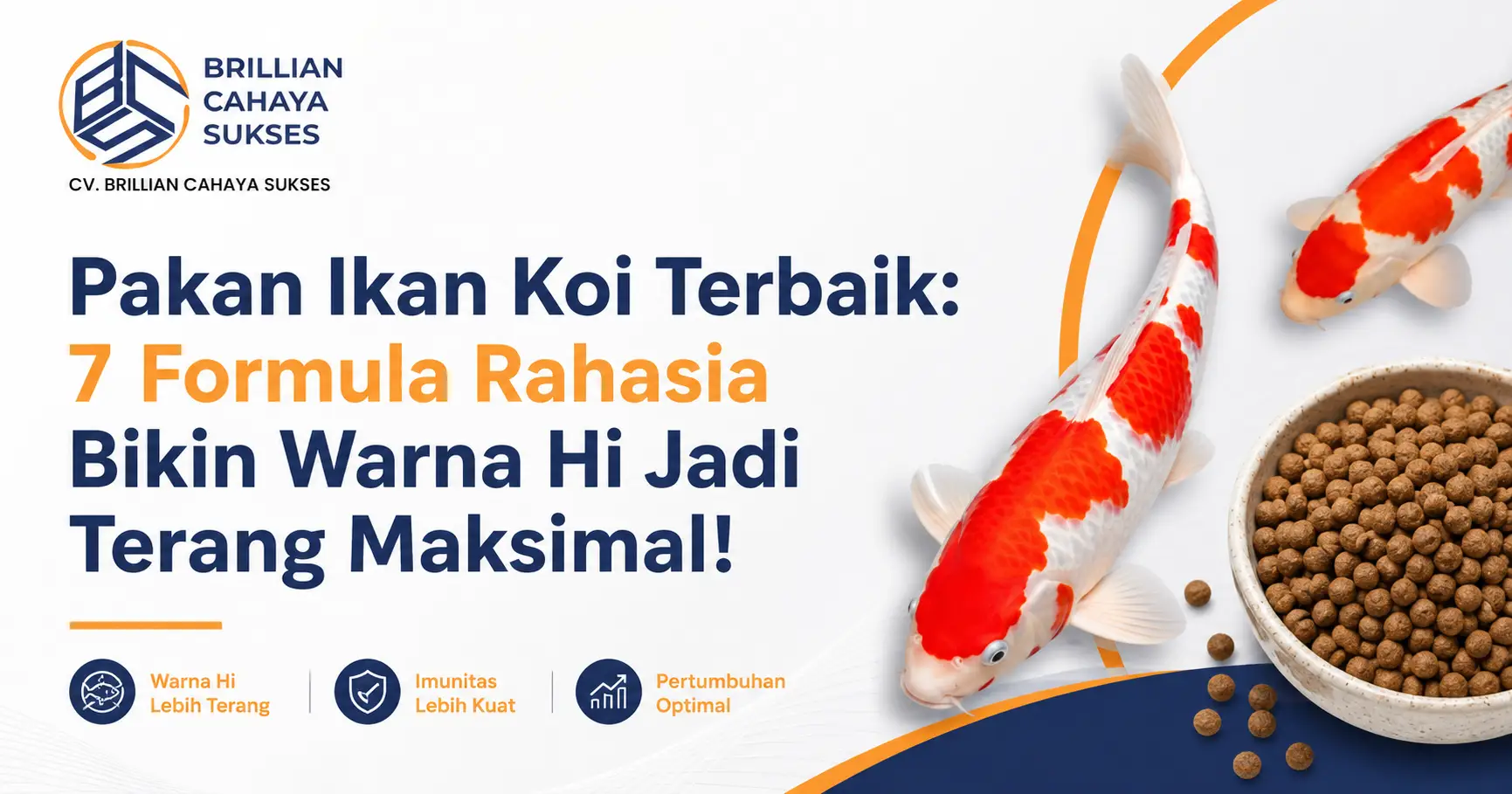Pakan Ikan Koi Terbaik: 7 Formula Rahasia Bikin Warna Hi Jadi Terang Maksimal!