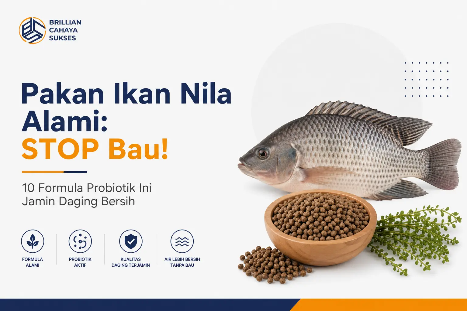 Pakan Ikan Nila Alami: STOP Bau! 10 Formula Probiotik Ini Jamin Daging Bersih