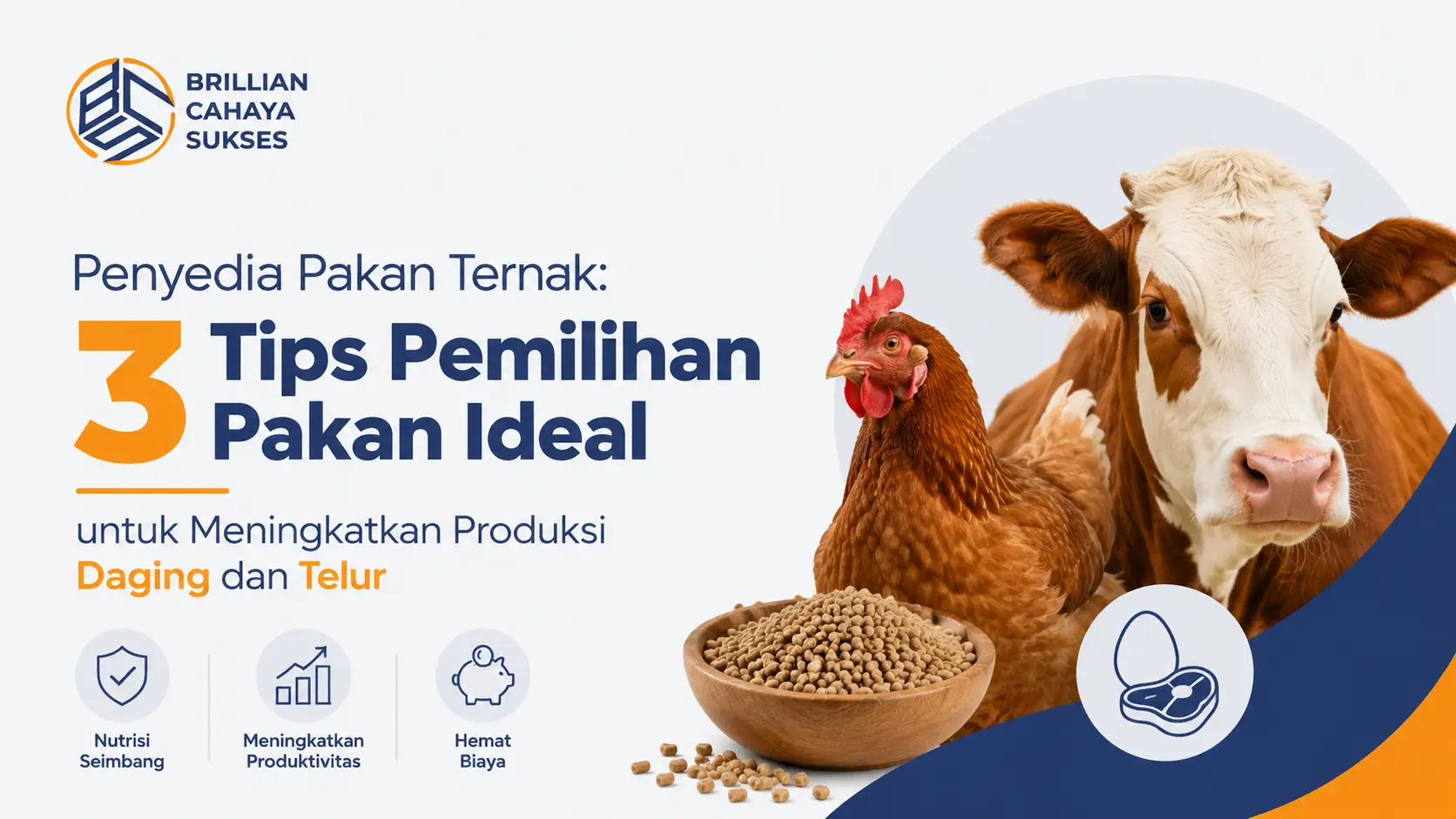 Penyedia Pakan Ternak 3 Tips Pemilihan Pakan Ideal untuk Meningkatkan Produksi Daging dan Telur