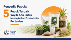 Penyedia Pupuk: 5 Pupuk Terbaik Wajib Ada untuk Meningkatkan Produktivitas Pertanian