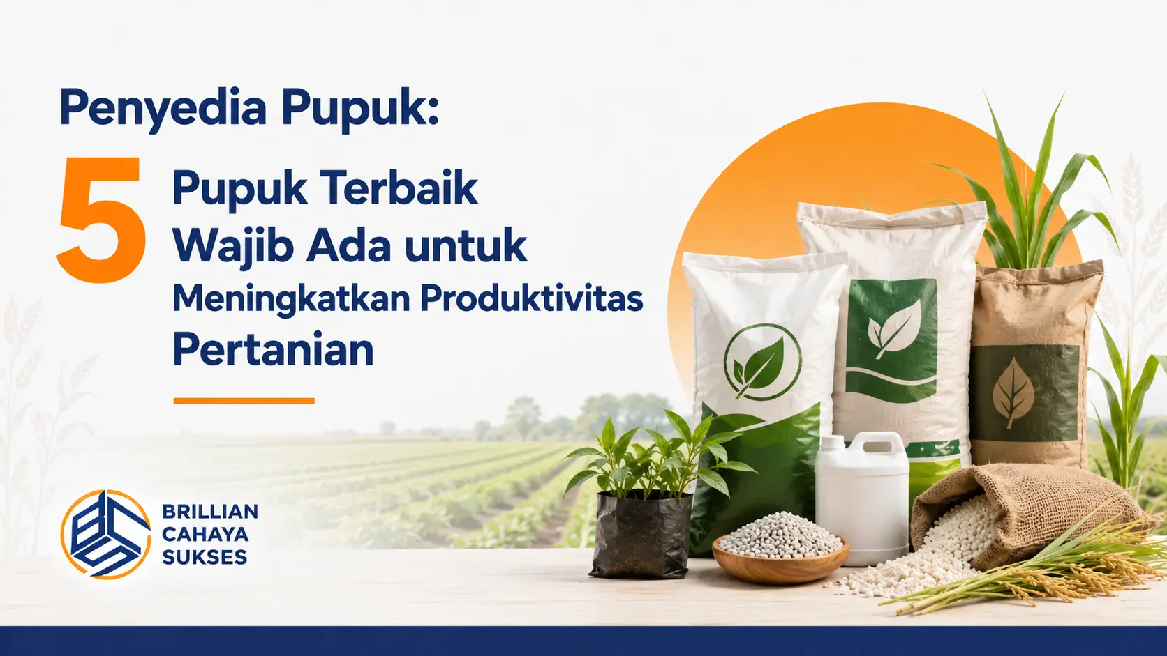 Penyedia Pupuk: 5 Pupuk Terbaik Wajib Ada untuk Meningkatkan Produktivitas Pertanian