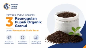 Penyedia Pupuk Organik: 3 Keunggulan Pupuk Organik Granul untuk Pemupukan Skala Besar