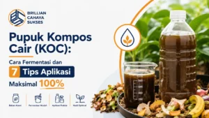 Pupuk Kompos Cair (KOC): Cara Fermentasi dan 7 Tips Aplikasi Maksimal 100%