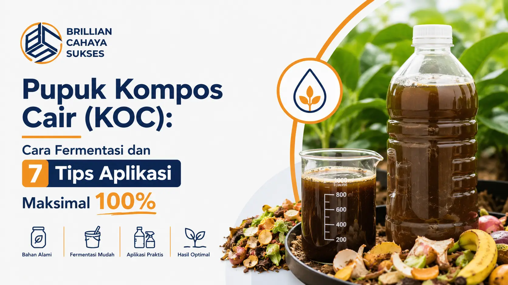 Pupuk Kompos Cair (KOC): Cara Fermentasi dan 7 Tips Aplikasi Maksimal 100%