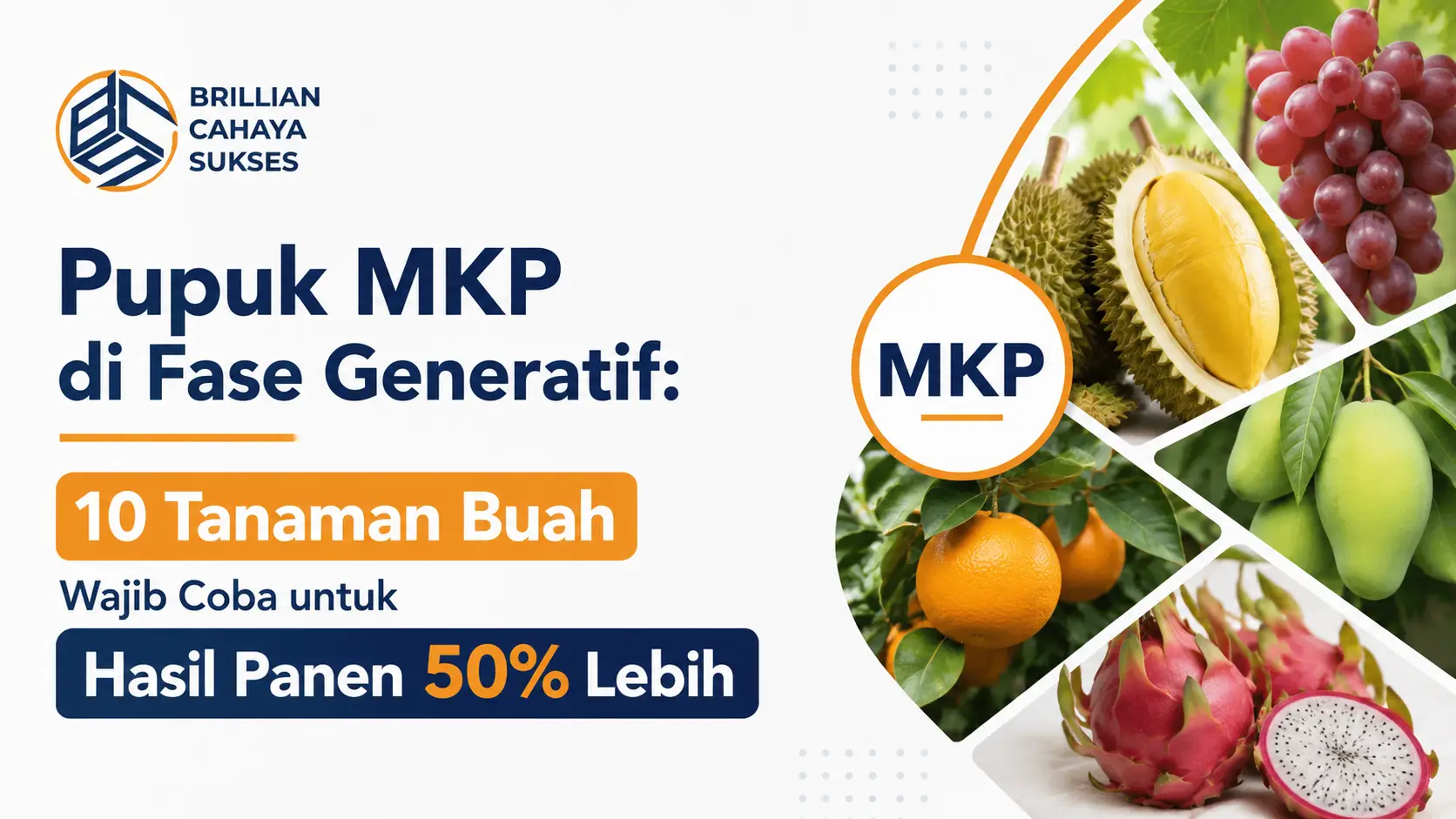 Pupuk MKP di Fase Generatif: 10 Tanaman Buah Wajib Coba untuk Hasil Panen 50% Lebih