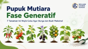 Pupuk Mutiara Fase Generatif: 7 Tanaman Ini Wajib Coba Agar Bunga dan Buah Maksimal
