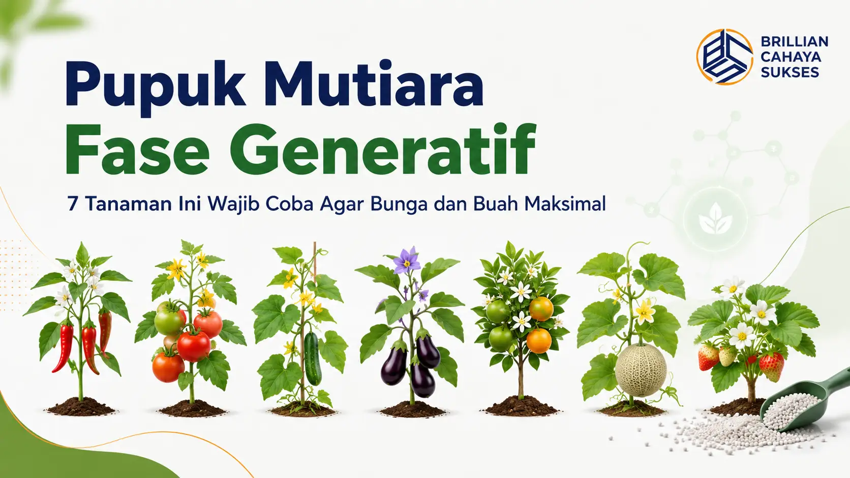 Pupuk Mutiara Fase Generatif: 7 Tanaman Ini Wajib Coba Agar Bunga dan Buah Maksimal