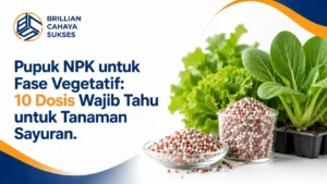 Pupuk NPK untuk Fase Vegetatif: 10 Dosis Wajib Tahu untuk Tanaman Sayuran