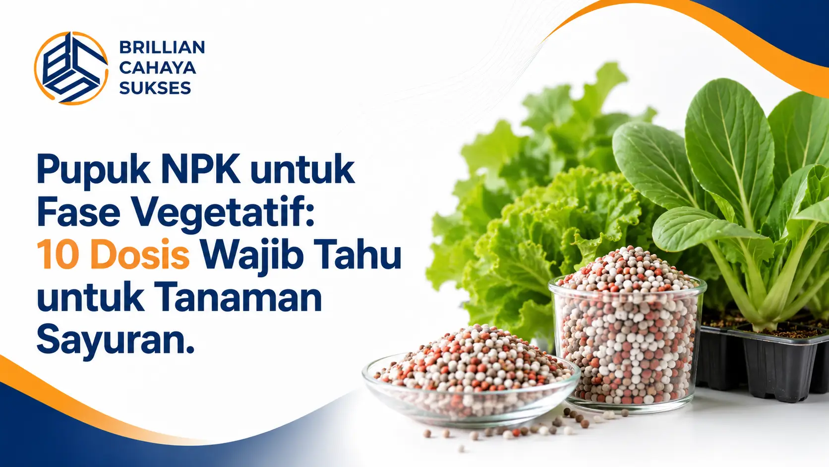 Pupuk NPK untuk Fase Vegetatif: 10 Dosis Wajib Tahu untuk Tanaman Sayuran