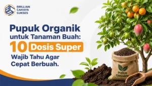 Pupuk Organik untuk Tanaman Buah 10 Dosis Super Wajib Tahu Agar Cepat Berbuah