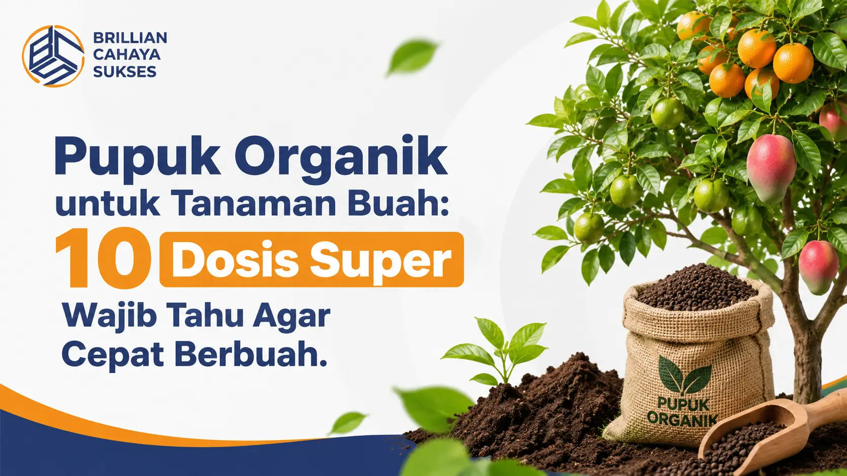 Pupuk Organik untuk Tanaman Buah 10 Dosis Super Wajib Tahu Agar Cepat Berbuah