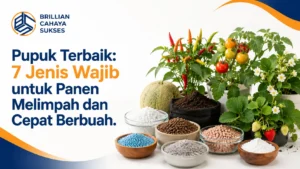 Pupuk Terbaik 2025: 7 Jenis Wajib untuk Panen Melimpah dan Cepat Berbuah