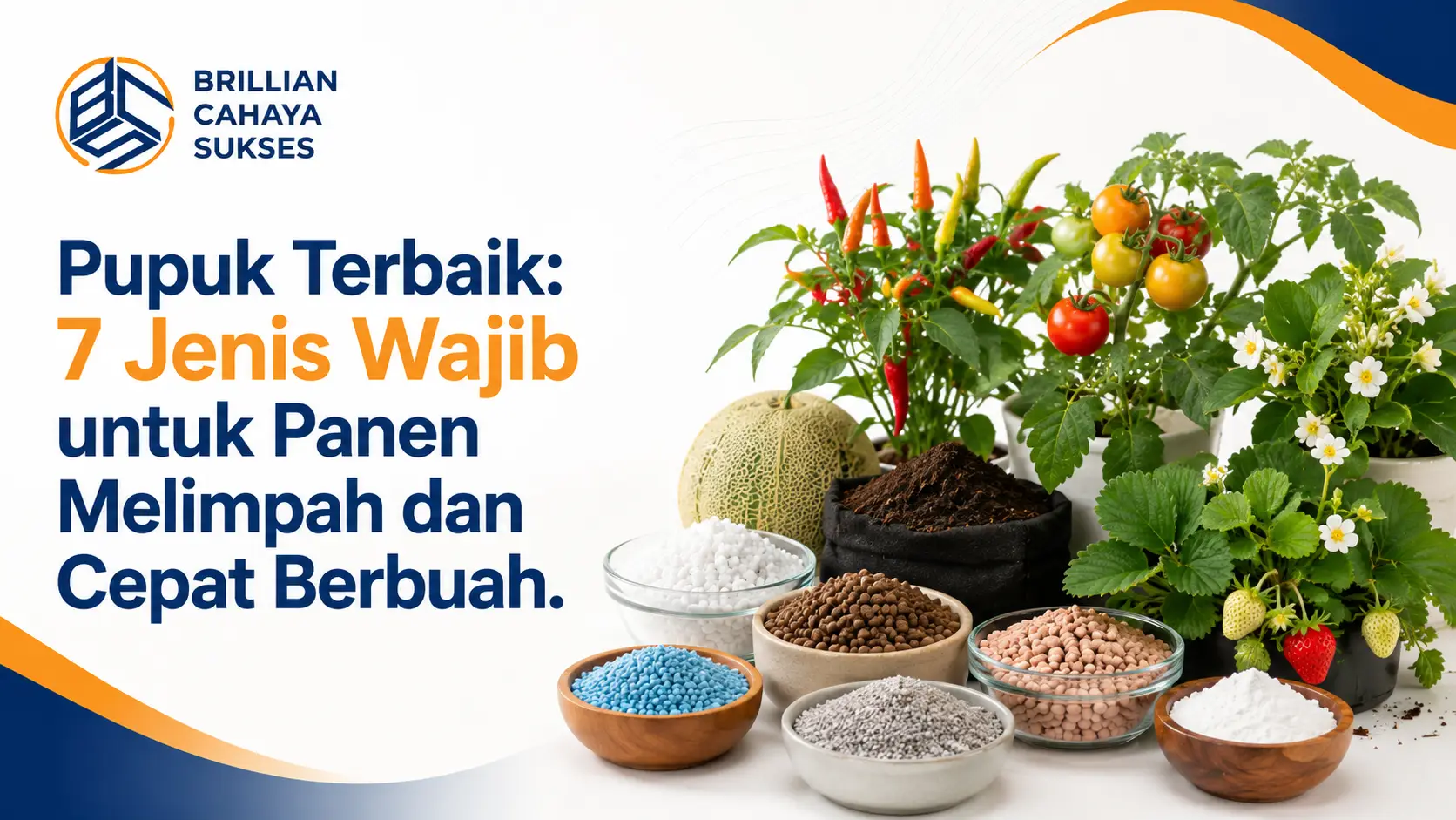 Pupuk Terbaik 2025: 7 Jenis Wajib untuk Panen Melimpah dan Cepat Berbuah