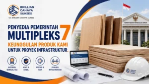 Penyedia Pemerintah Multipleks 7 Keunggulan Produk Kami Untuk Proyek Infrastruktur