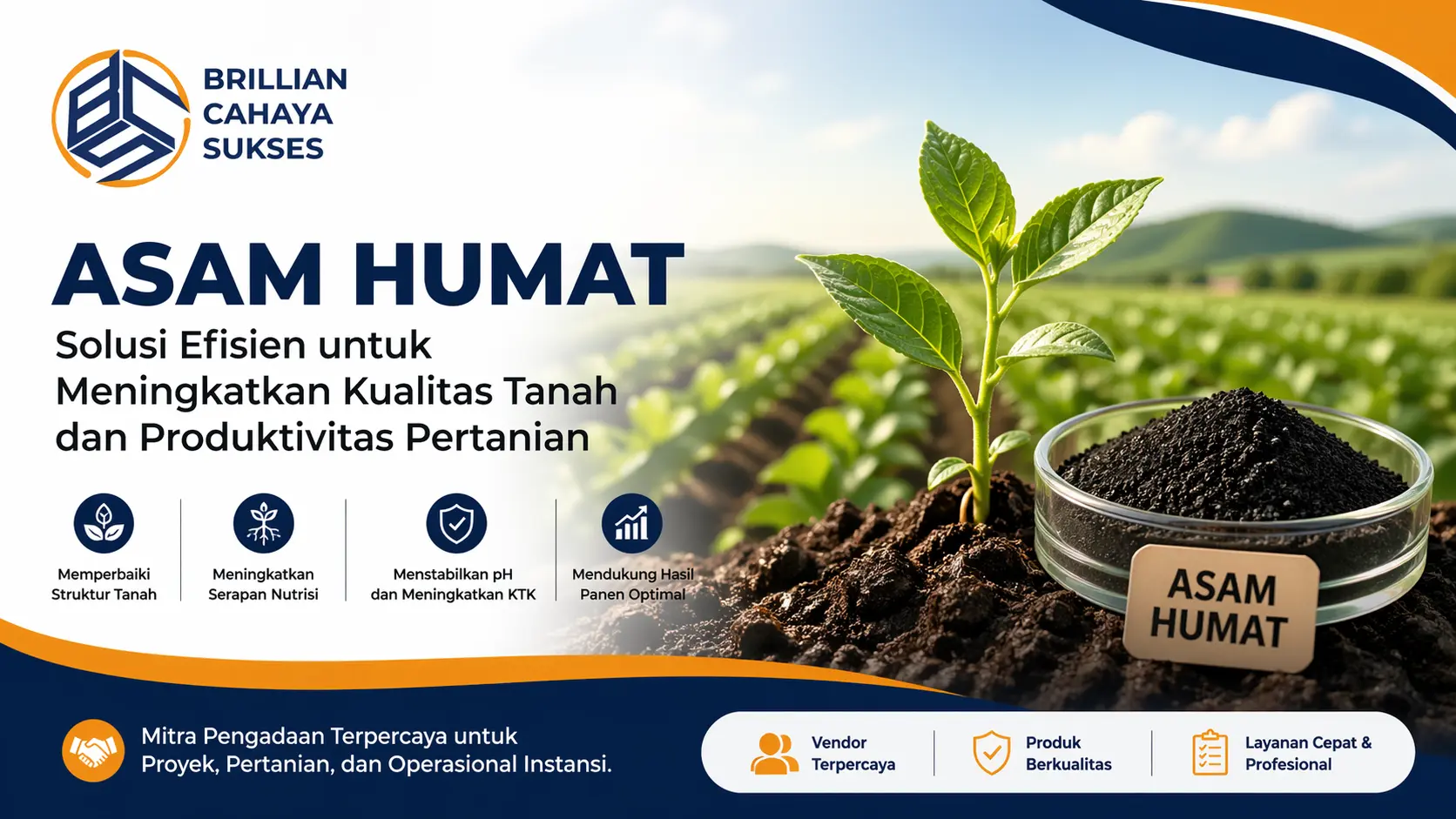 Asam humat untuk meningkatkan kesuburan tanah oleh Brilian Cahaya Sukses