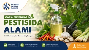 cara membuat pestisida alami dari bahan organik seperti bawang putih cabai dan daun pepaya