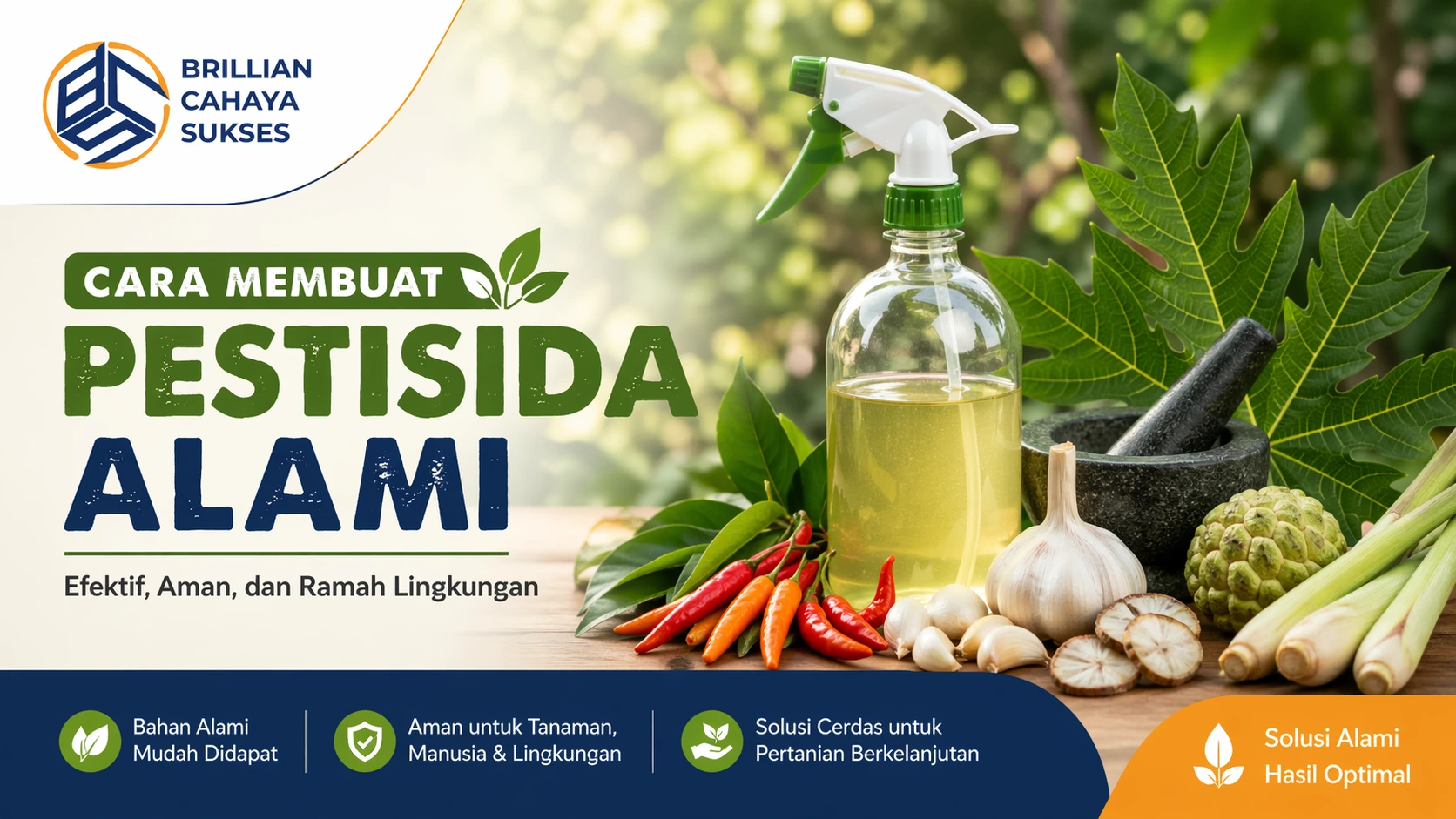 cara membuat pestisida alami dari bahan organik seperti bawang putih cabai dan daun pepaya