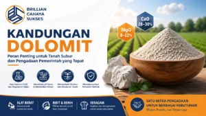 Kandungan dolomit untuk meningkatkan kualitas tanah pada proyek pemerintah