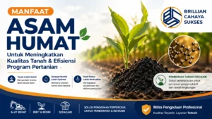 Manfaat asam humat untuk meningkatkan kesuburan tanah pertanian secara optimal
