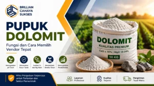 Pupuk dolomit kualitas premium dari Brilian Cahaya Sukses untuk meningkatkan pH tanah