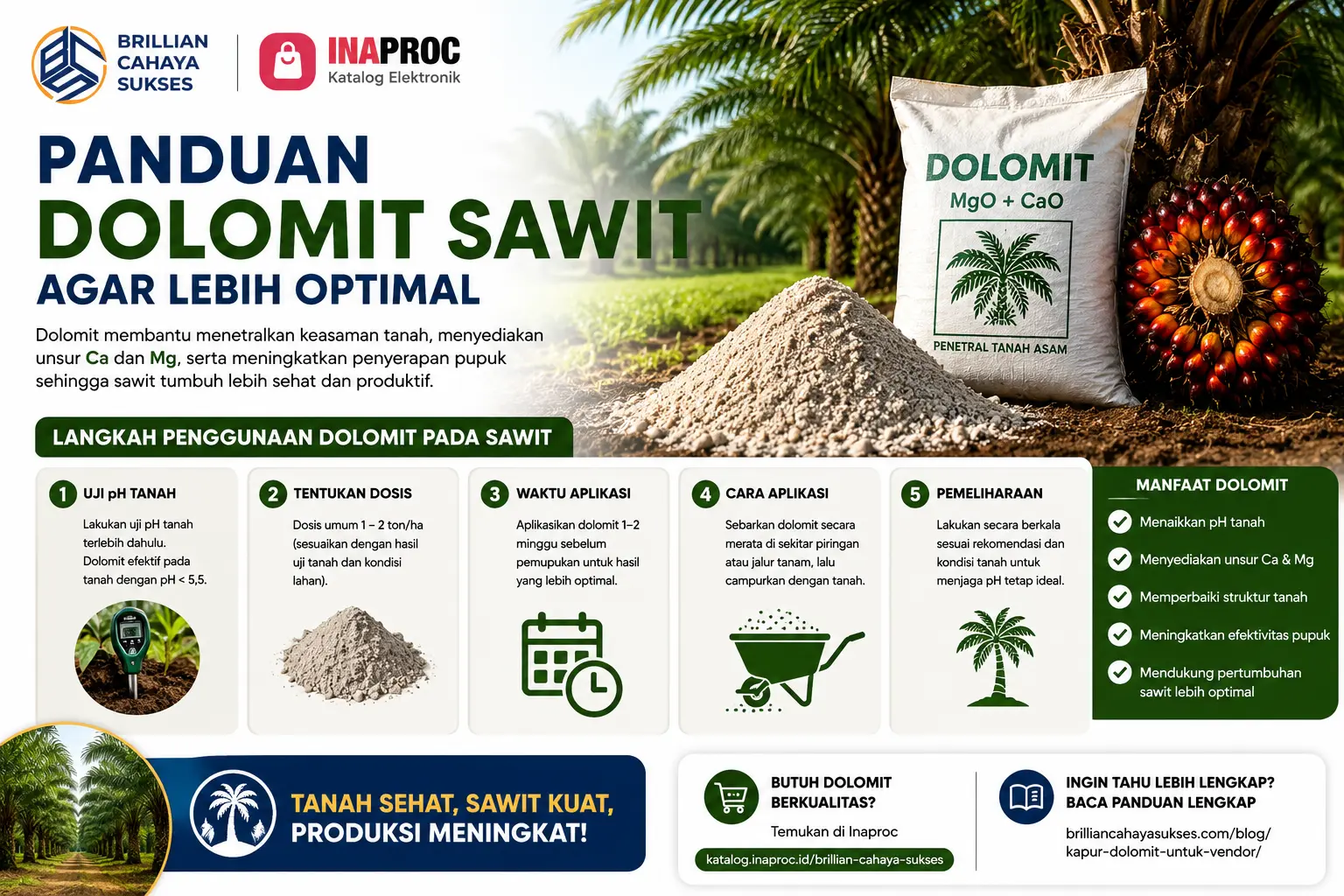 “Cara menggunakan dolomit pada sawit agar lebih optimal”