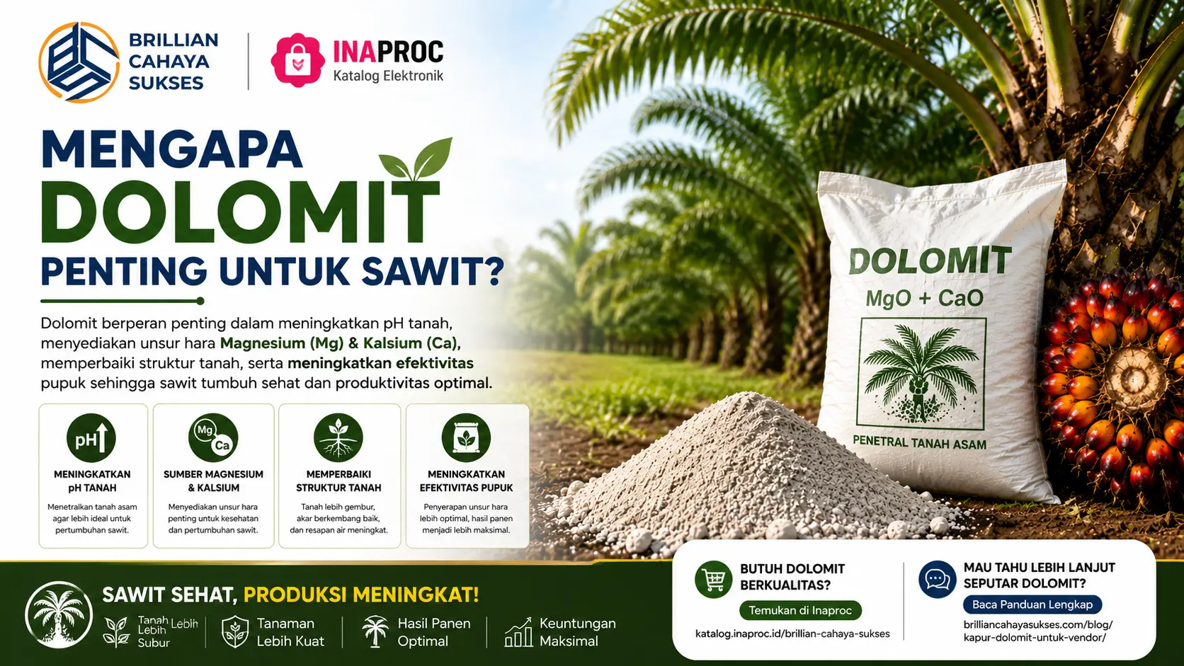 “Cara menggunakan dolomit pada sawit agar tanah lebih subur”
