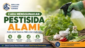 Cara menggunakan pestisida alami untuk tanaman agar lebih aman dan ramah lingkungan