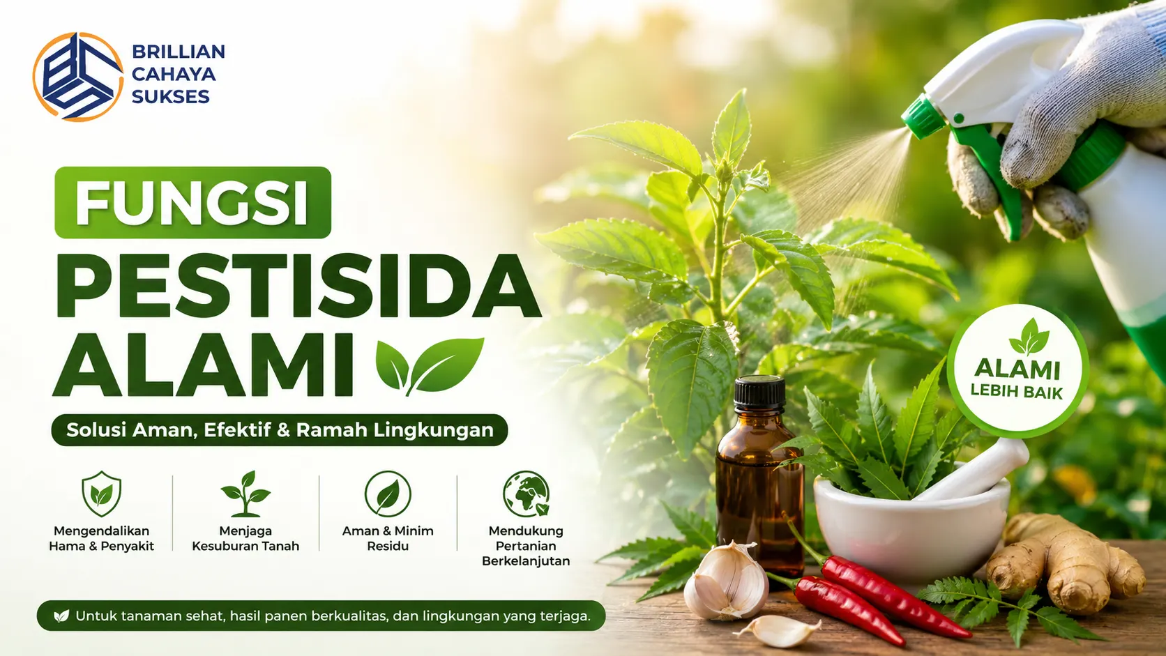 Fungsi pestisida alami untuk membantu mengendalikan hama tanaman secara ramah lingkungan