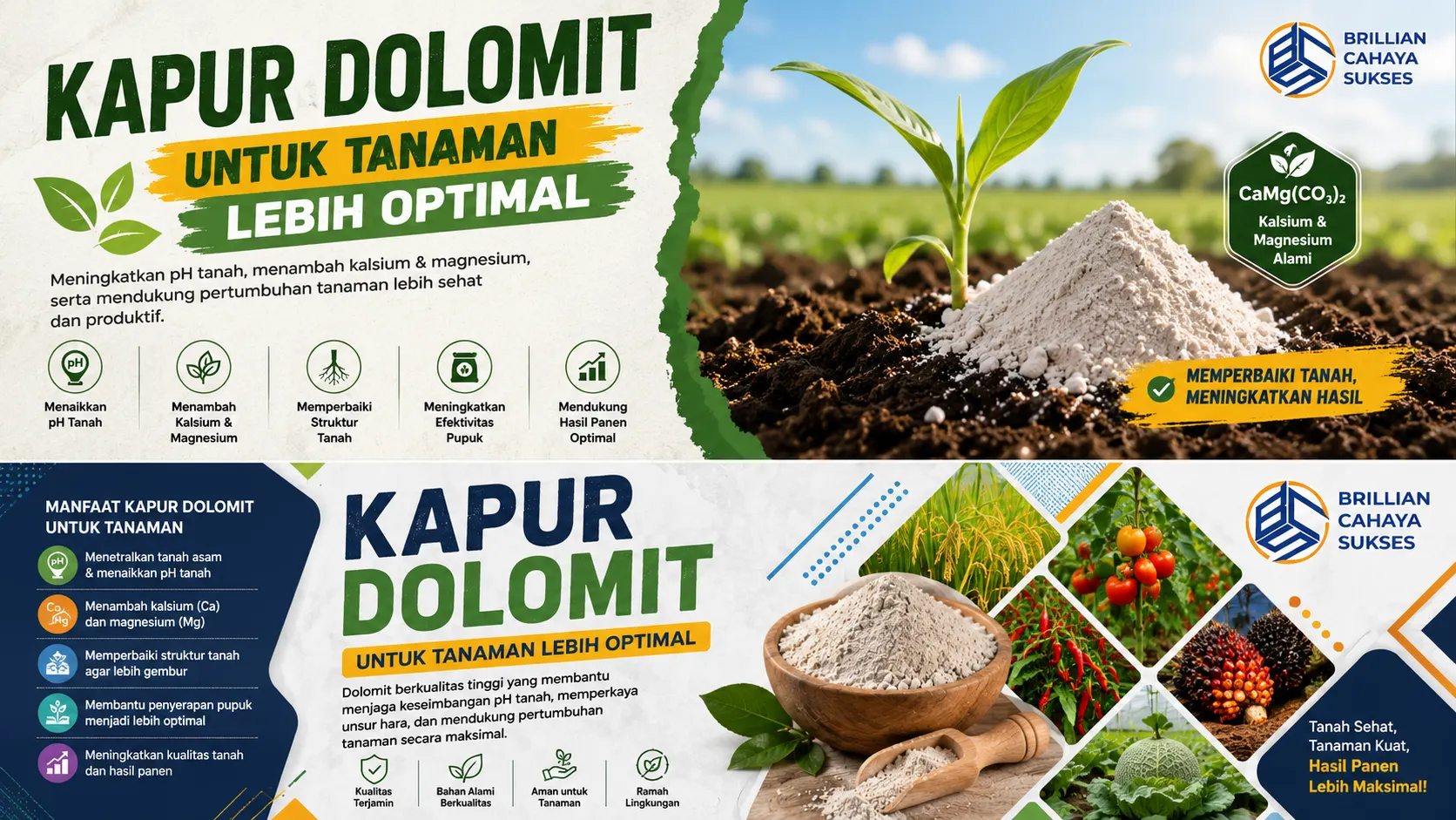Infografis kapur dolomit untuk tanaman lebih optimal membantu meningkatkan pH tanah dan mendukung pertumbuhan tanaman lebih sehat