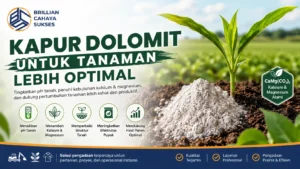 Kapur dolomit untuk tanaman lebih optimal membantu menetralkan tanah asam dan meningkatkan pertumbuhan tanaman