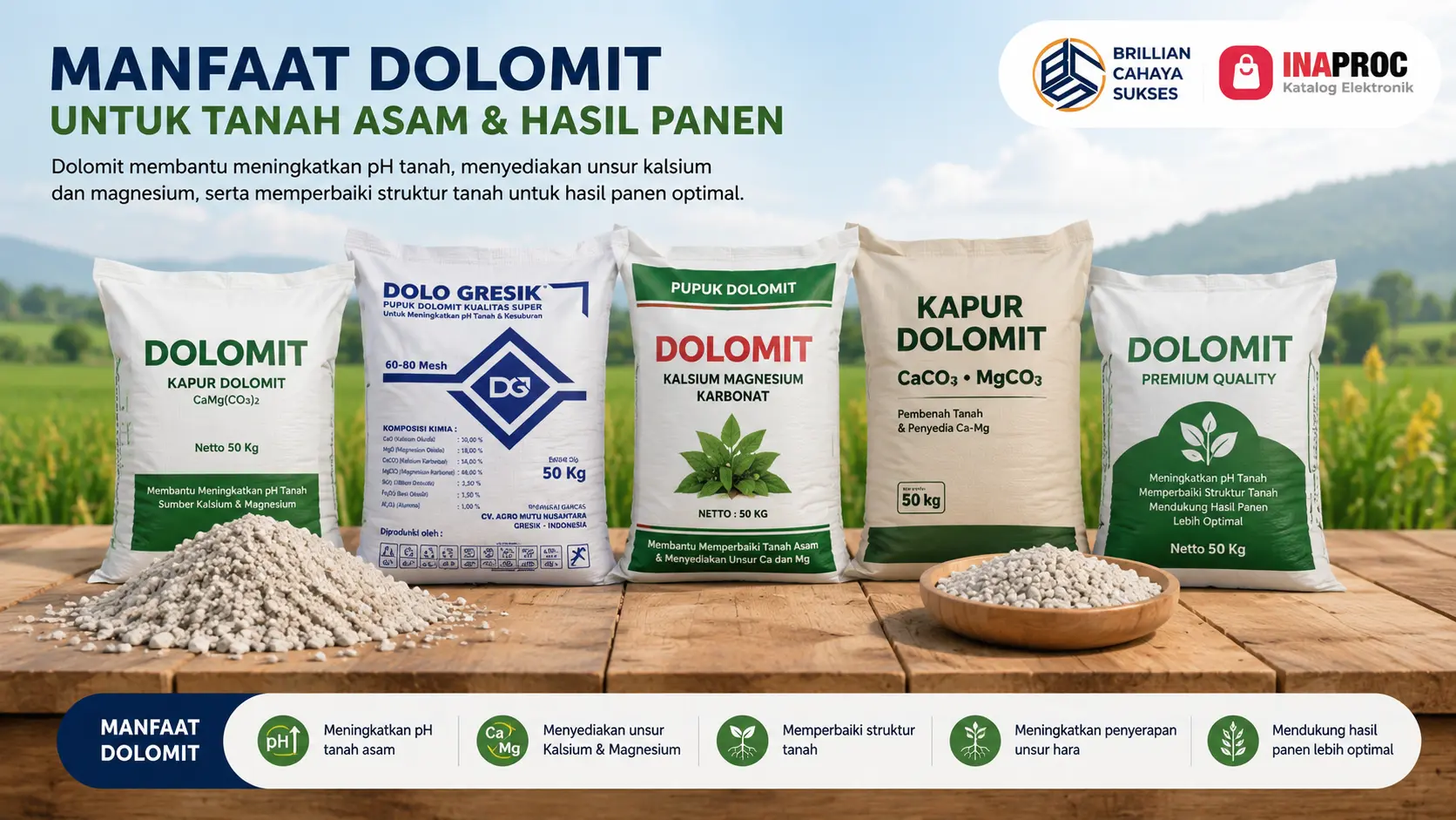 “Manfaat dolomit untuk tanah asam dan hasil panen optimal”