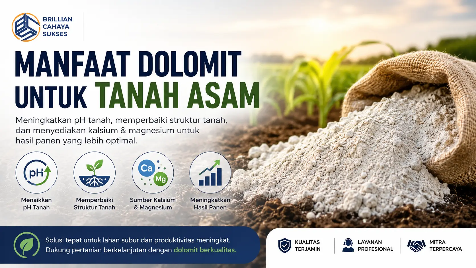 “Manfaat dolomit untuk memperbaiki tanah asam dan struktur tanah”