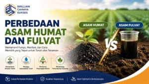Perbedaan asam humat dan fulvat untuk membantu memperbaiki struktur tanah dan penyerapan nutrisi tanaman