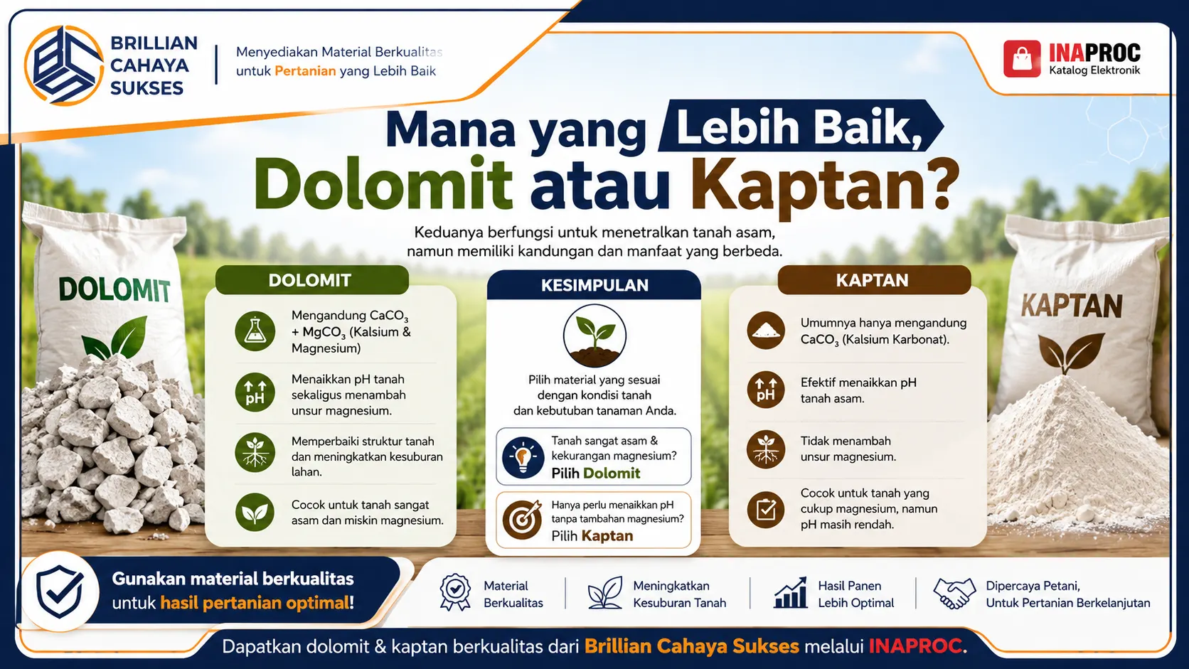 Infografis perbedaan dolomit dengan kaptan untuk membantu memilih material terbaik bagi tanah pertanian asam