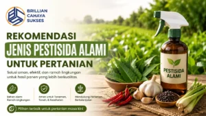 Rekomendasi pestisida alami untuk pertanian modern ramah lingkungan