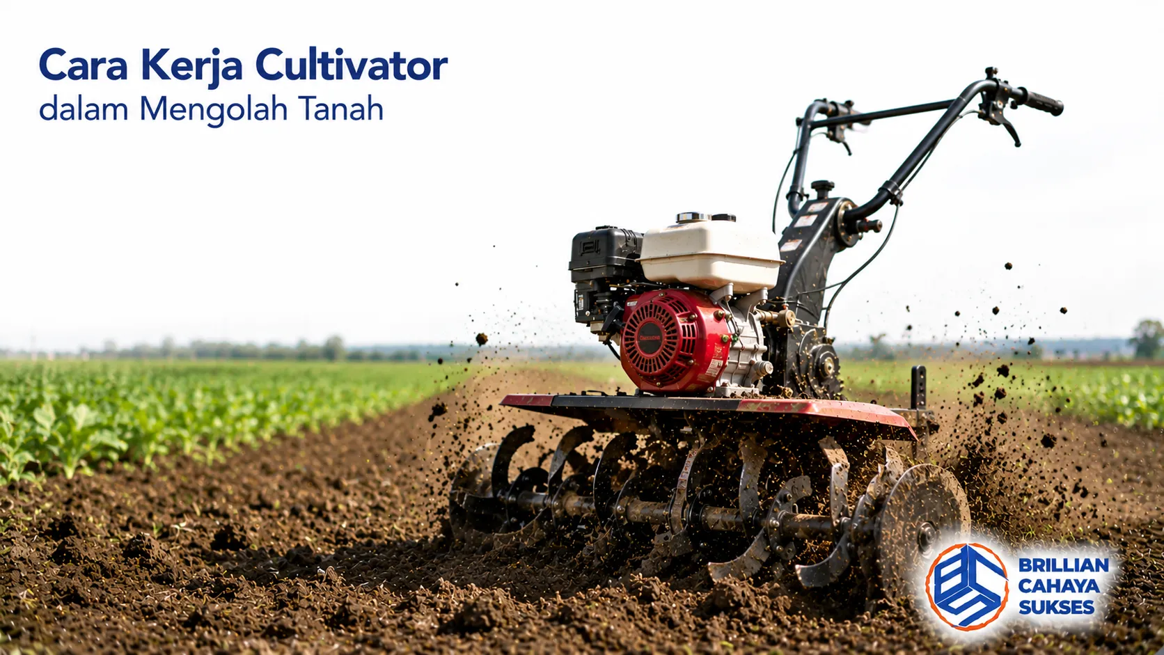 Cultivator mengolah tanah di lahan pertanian menggunakan pisau rotary untuk menggemburkan tanah sebelum proses penanaman.