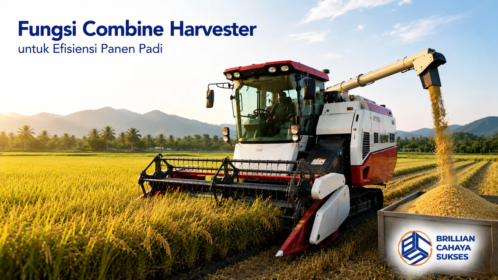 Combine harvester memanen padi di lahan pertanian dengan proses pemotongan, perontokan, dan penampungan gabah dalam satu rangkaian kerja.