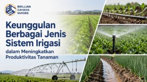 Keunggulan Berbagai Jenis Sistem Irigasi dalam Meningkatkan Produktivitas Tanaman