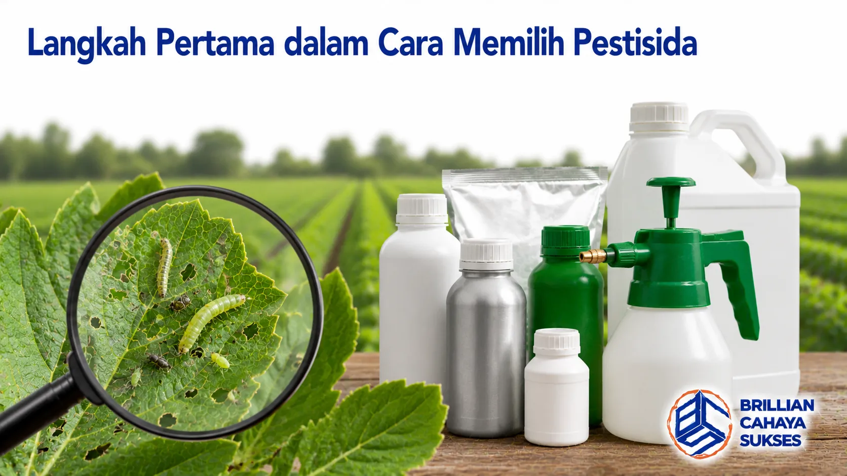 Produk pestisida dan daun tanaman yang terserang hama sebagai ilustrasi langkah awal memilih pestisida berdasarkan identifikasi organisme pengganggu tanaman.