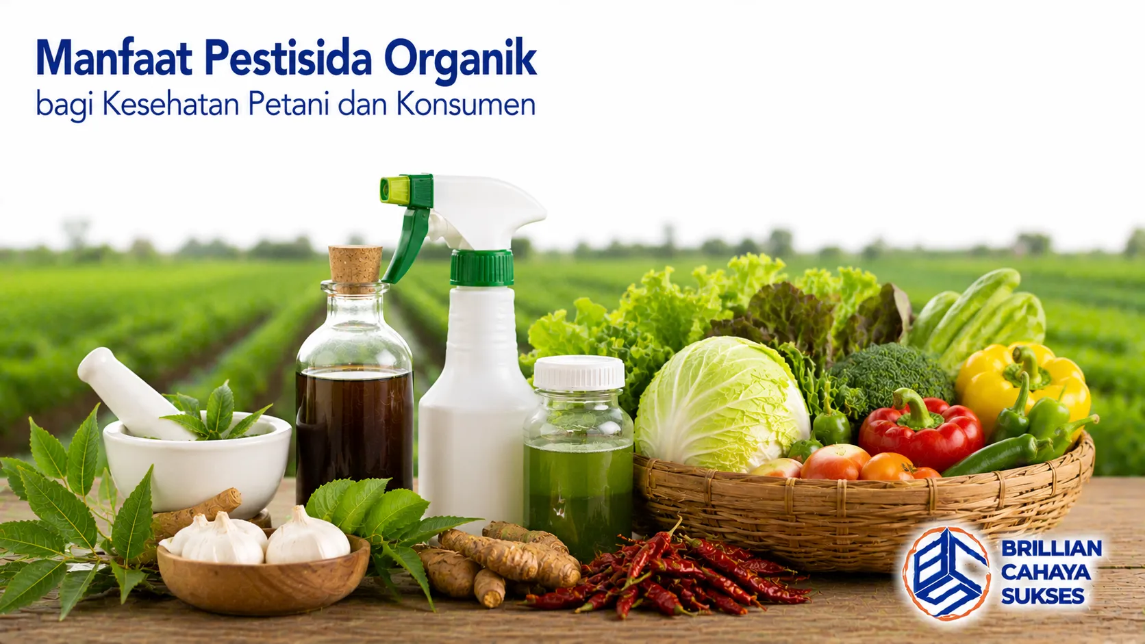 Produk pestisida organik dan bahan alami sebagai ilustrasi manfaat pestisida organik dalam mendukung kesehatan petani, konsumen, dan pertanian berkelanjutan.