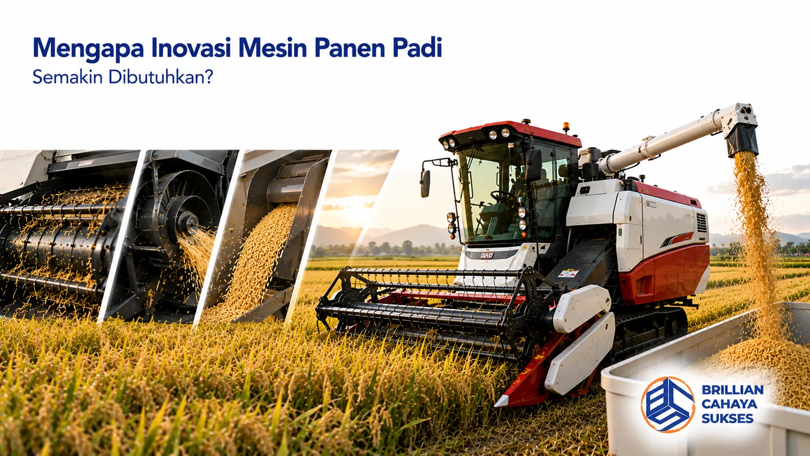 Combine harvester modern dengan teknologi panen terbaru beroperasi di lahan padi untuk meningkatkan efisiensi dan kualitas hasil panen.