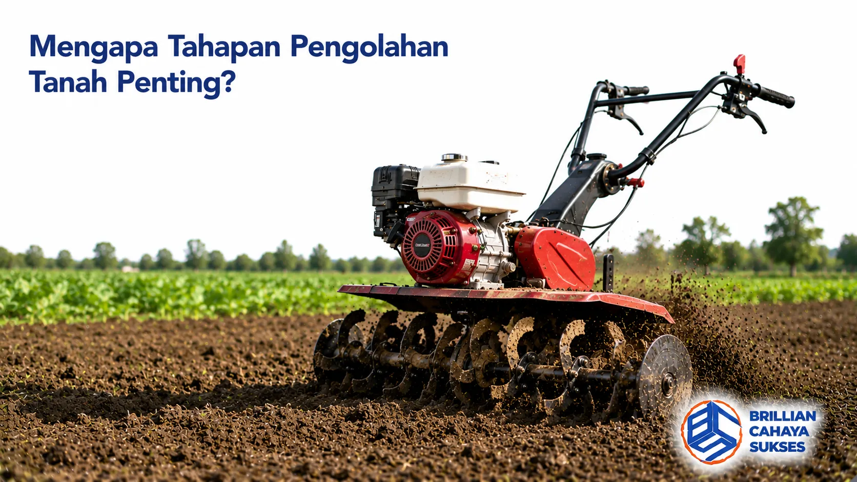 Cultivator menggemburkan tanah di lahan pertanian sebagai bagian dari tahapan pengolahan tanah sebelum penanaman.