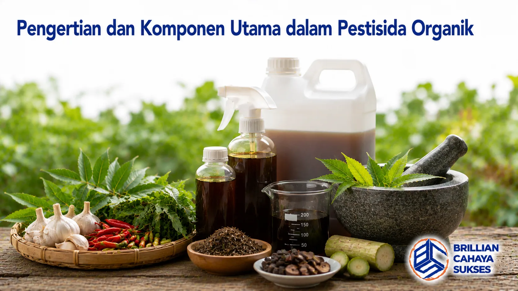 Berbagai bahan alami dan produk pestisida organik sebagai ilustrasi komponen utama dalam pembuatan pestisida organik untuk pertanian.