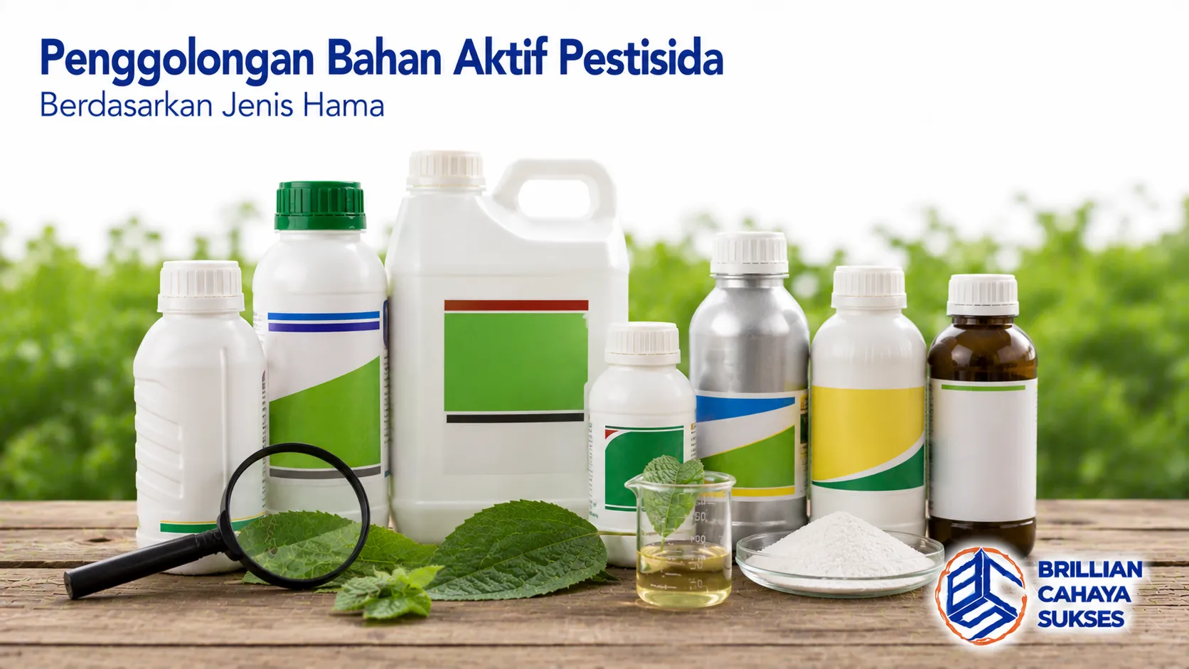 Berbagai produk pestisida ditampilkan sebagai ilustrasi penggolongan bahan aktif pestisida berdasarkan jenis hama untuk mendukung pengendalian yang tepat.