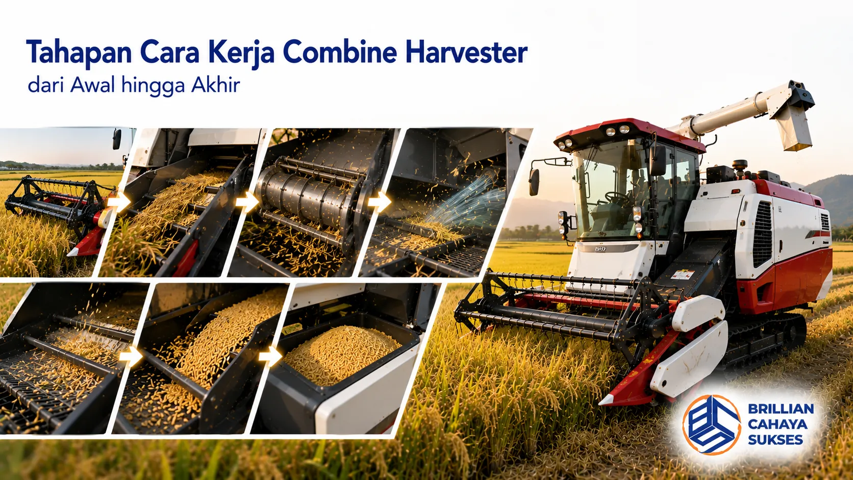 Combine harvester memproses panen padi melalui tahapan pemotongan, perontokan, pembersihan, dan penampungan gabah dalam satu sistem kerja.