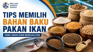 Bahan baku pakan ikan aman dan berkualitas untuk mendukung pertumbuhan optimal