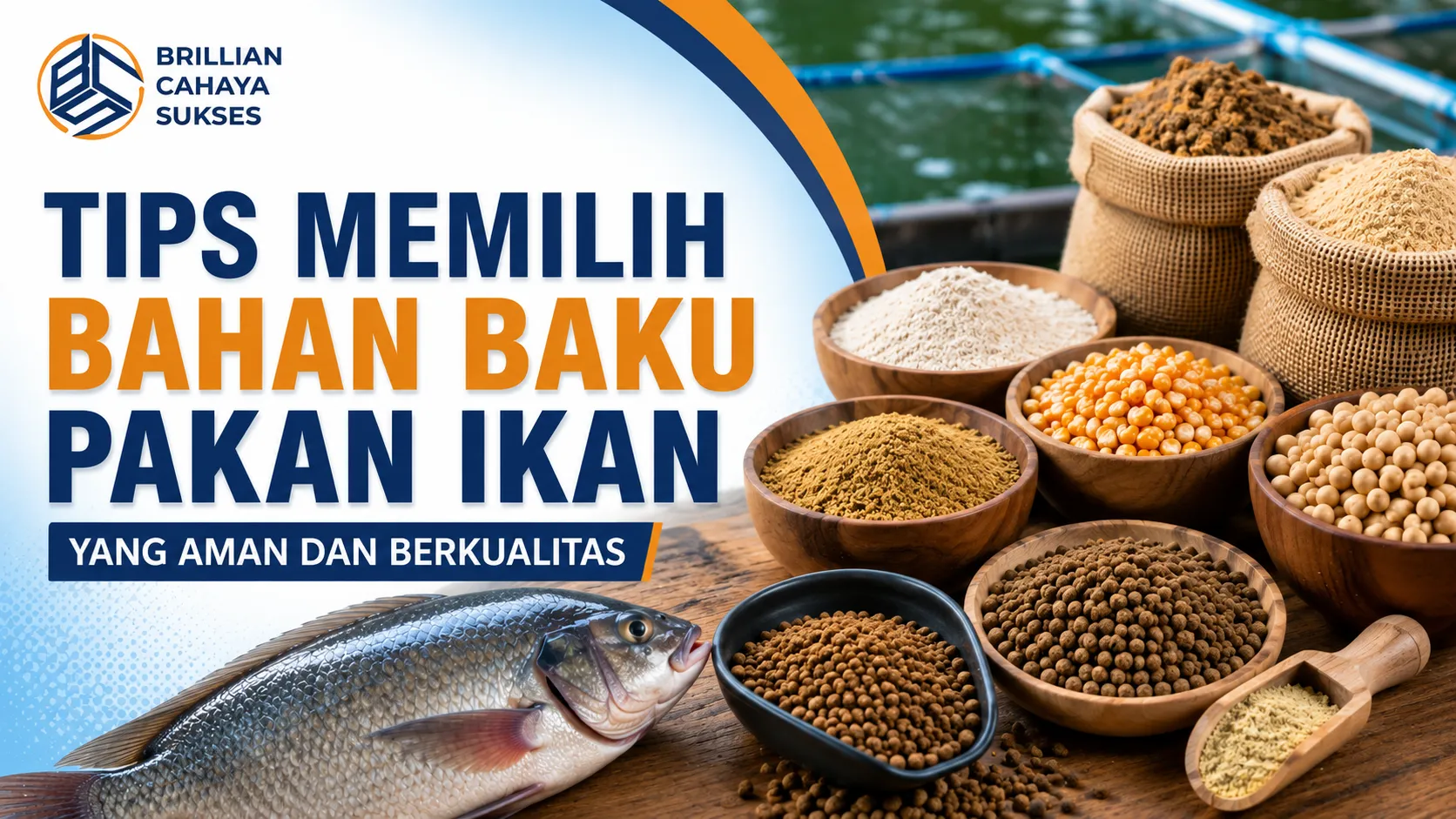 Bahan baku pakan ikan aman dan berkualitas untuk mendukung pertumbuhan optimal