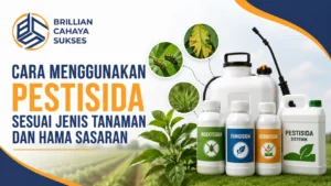 Feature image Cara Menggunakan Pestisida Sesuai Jenis Tanaman dan Hama Sasaran menampilkan ilustrasi berbagai jenis pestisida, tanaman, serta hama sasaran dengan logo Brillian Cahaya Sukses.