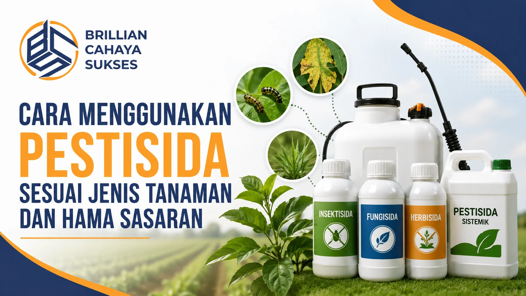 Feature image Cara Menggunakan Pestisida Sesuai Jenis Tanaman dan Hama Sasaran menampilkan ilustrasi berbagai jenis pestisida, tanaman, serta hama sasaran dengan logo Brillian Cahaya Sukses.
